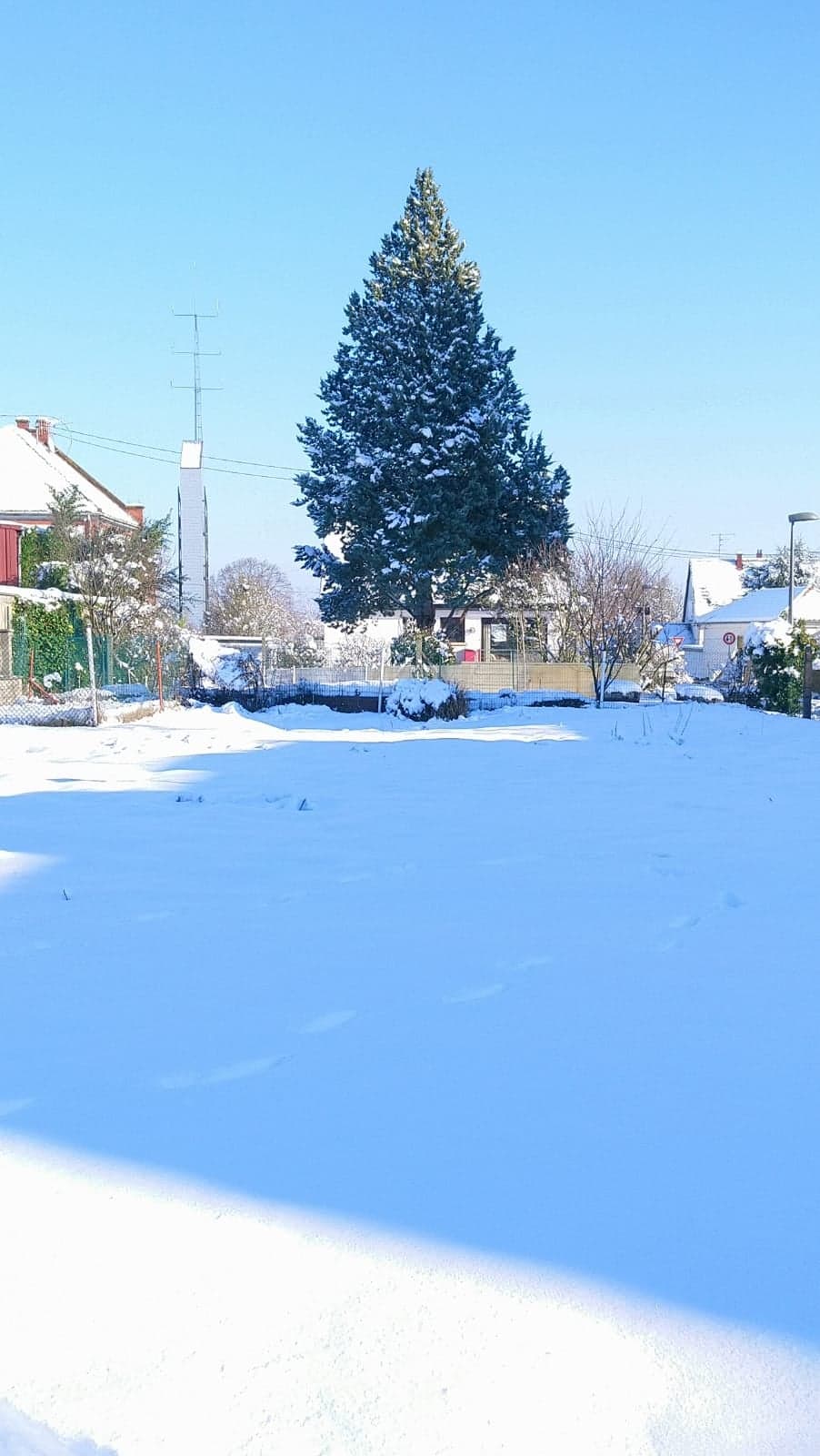 2021.01.15 journée neige (5)